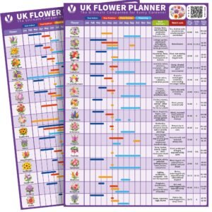 flower planner poster showing monthly sowing and planting guide for 30 uk flowers
